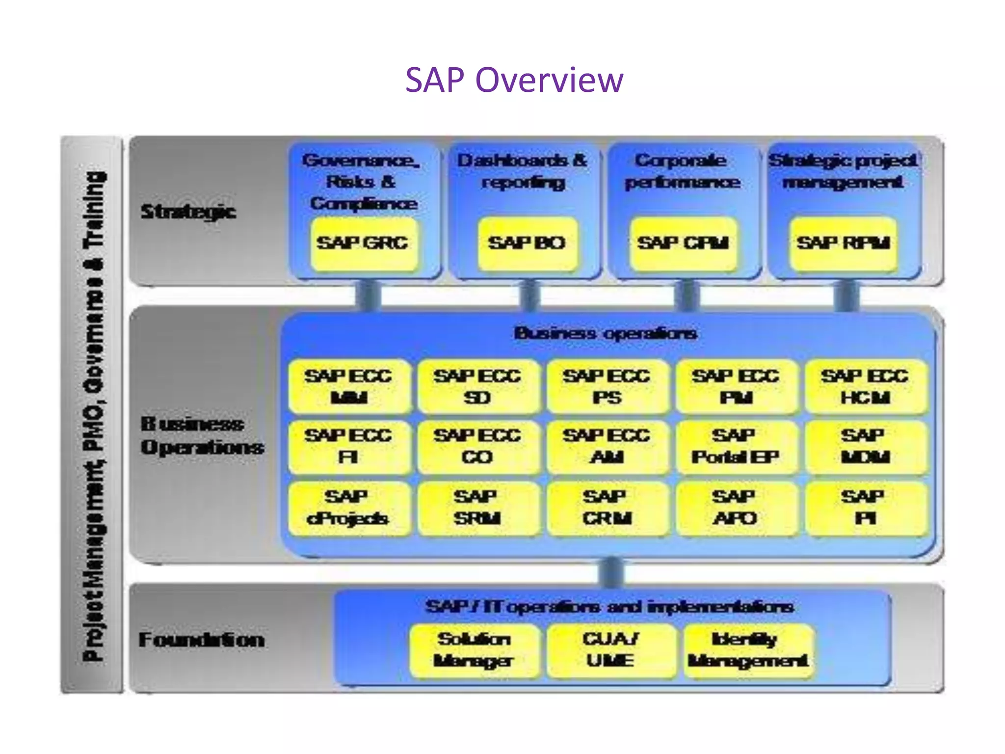 SAP Overview
 