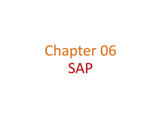 Chapter 06
   SAP
 