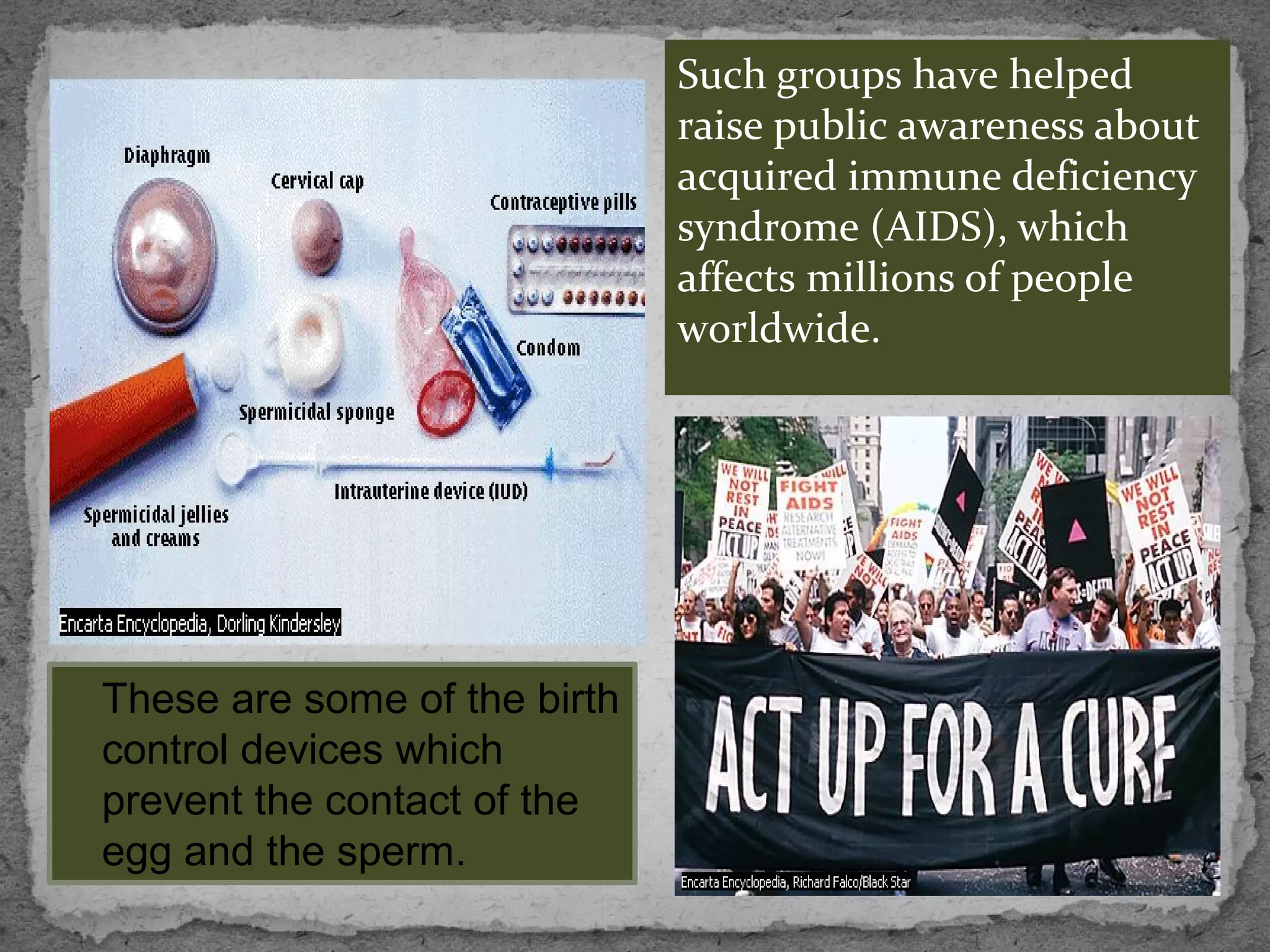 Such groups have helped
                              raise public awareness about
                              acquired immune deficiency
                              syndrome (AIDS), which
                              affects millions of people
                              worldwide.




These are some of the birth
control devices which
prevent the contact of the
egg and the sperm.
 