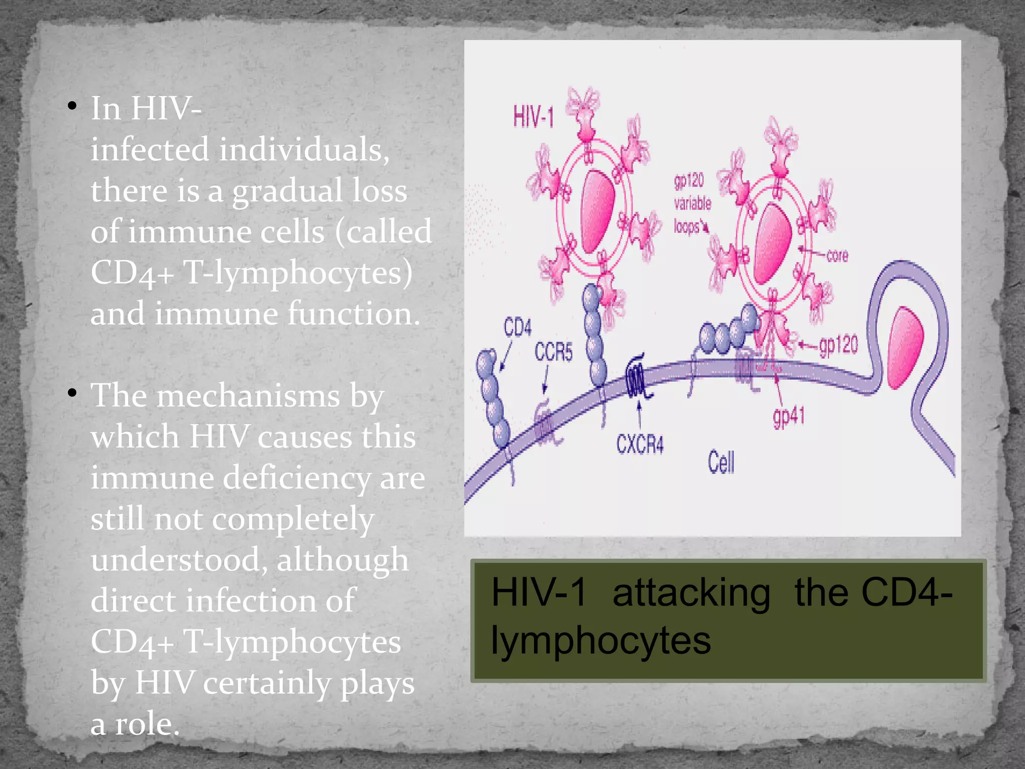 • In HIV-
  infected individuals,
  there is a gradual loss
  of immune cells (called
  CD4+ T-lymphocytes)
  and immune function.

• The mechanisms by
  which HIV causes this
  immune deficiency are
  still not completely
  understood, although
  direct infection of       HIV-1 attacking the CD4-
  CD4+ T-lymphocytes        lymphocytes
  by HIV certainly plays
  a role.
 