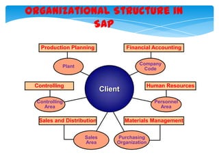 Organizational Structure in
SAP
Production Planning

Financial Accounting
Company
Code

Plant

Controlling

Client

Human Resources

Controlling
Area

Personnel
Area

Sales and Distribution
Sales
Area

Materials Management
Purchasing
Organization

 
