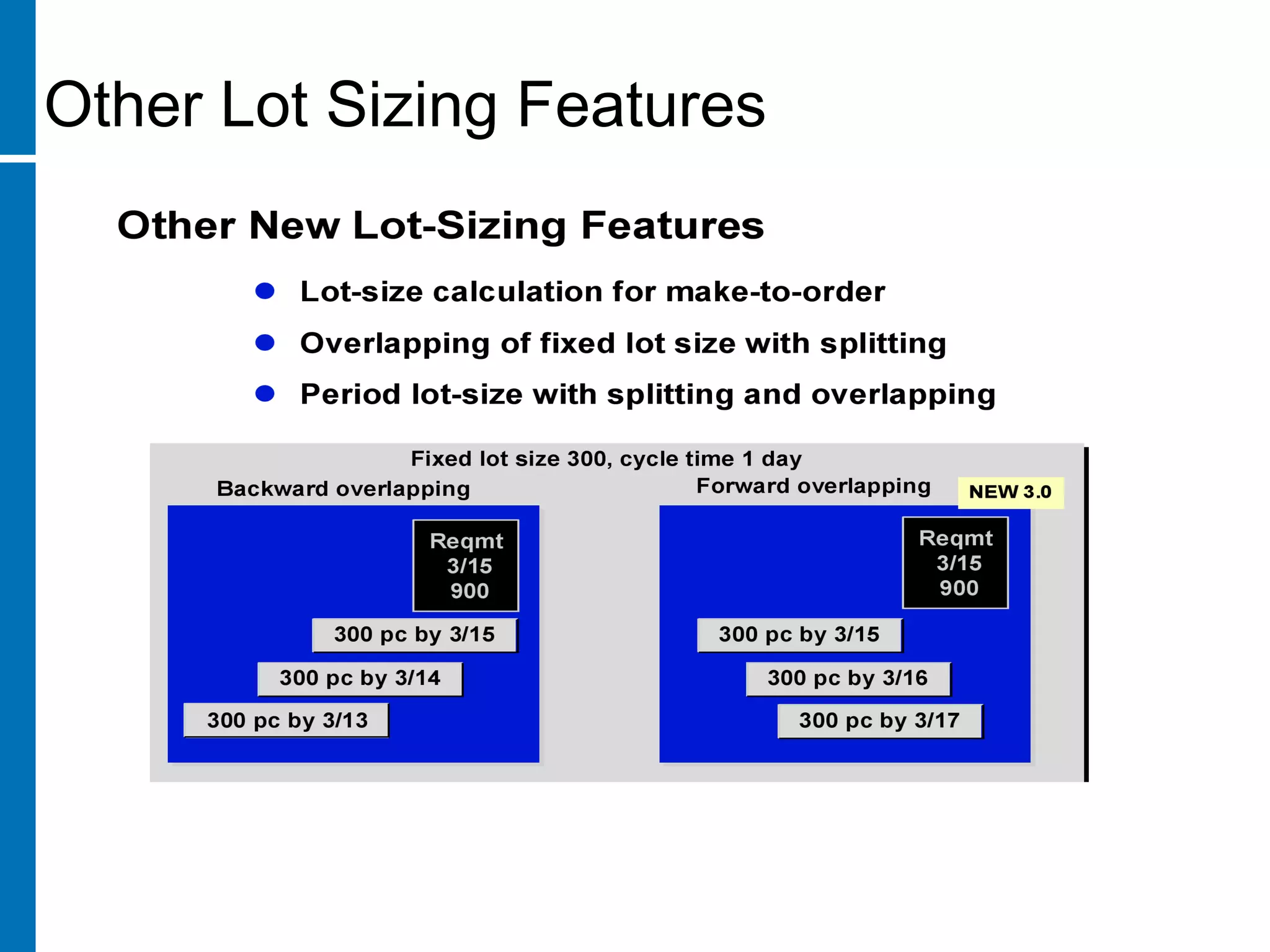 Other Lot Sizing Features
 
