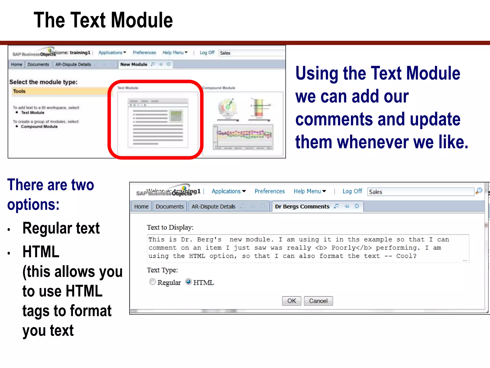 The Text Module
Using the Text Module
we can add our
comments and update
them whenever we like.
There are two
options:
• Regular text
• HTML
(this allows you
to use HTML
tags to format
you text
 