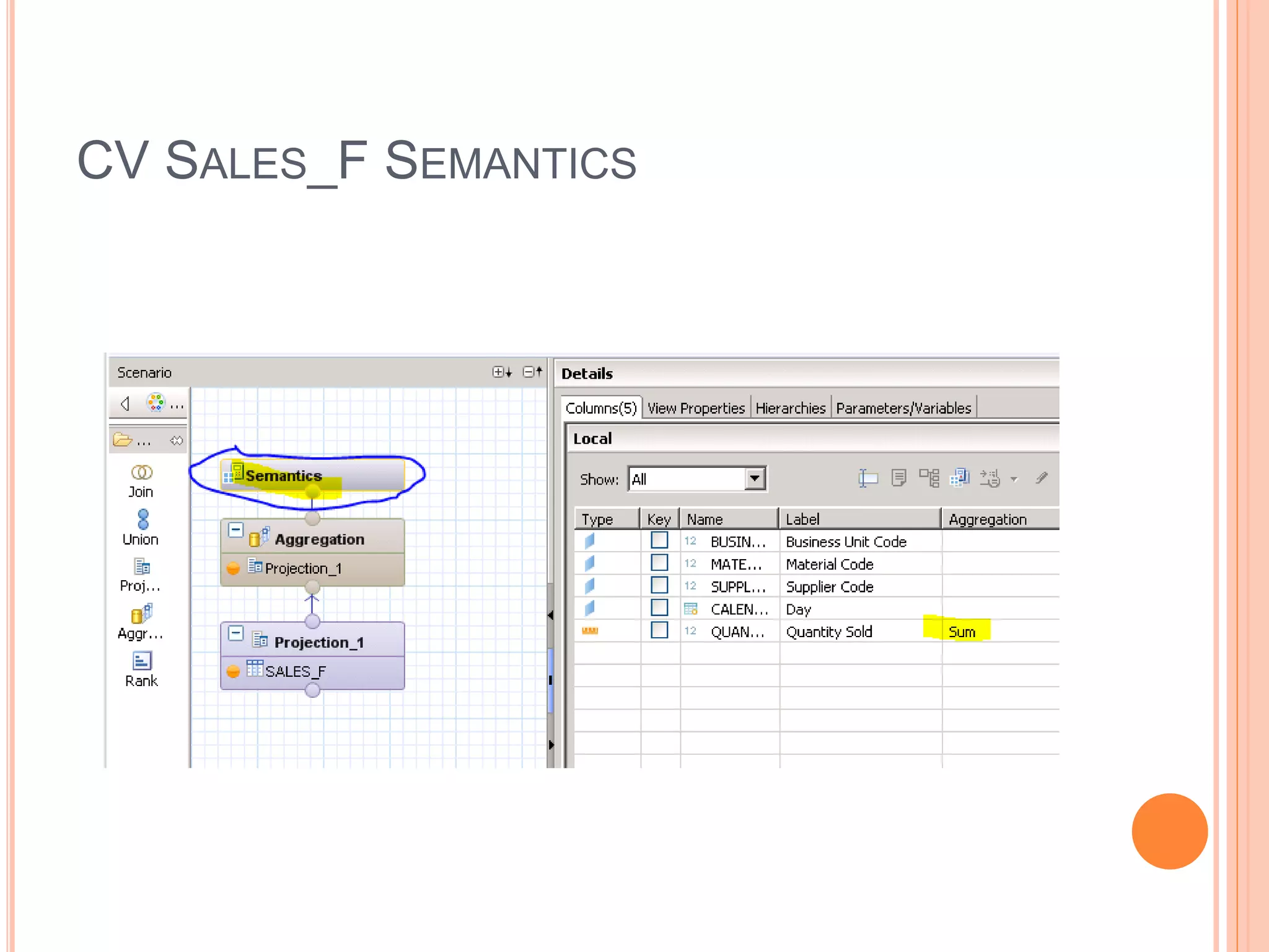 CV SALES_F SEMANTICS
 