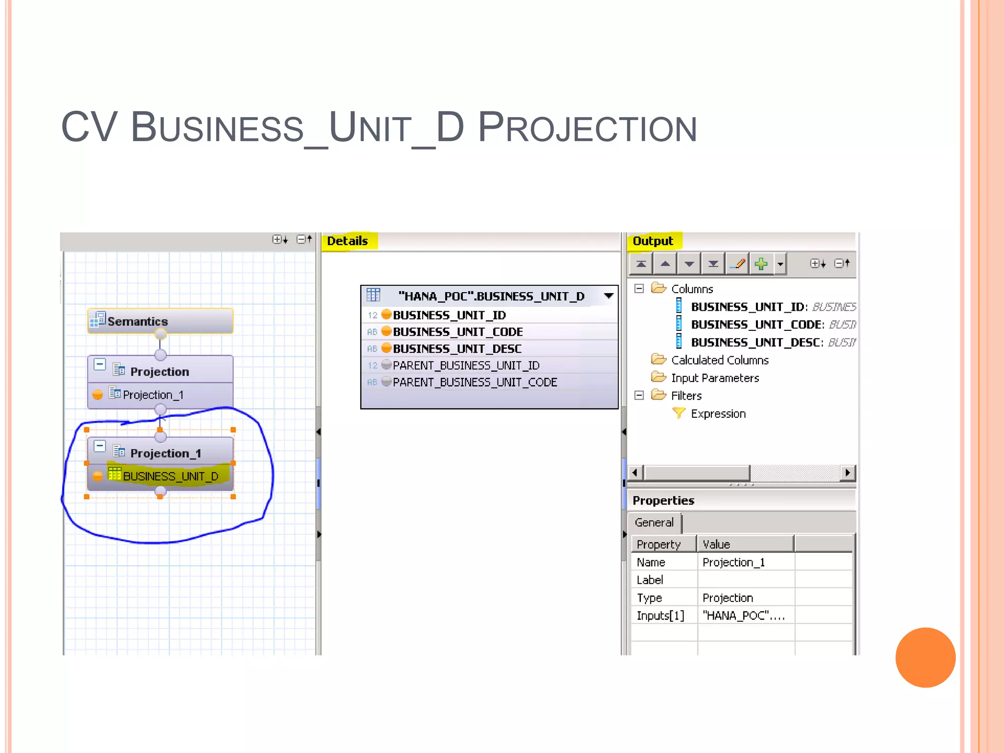 CV BUSINESS_UNIT_D PROJECTION
 