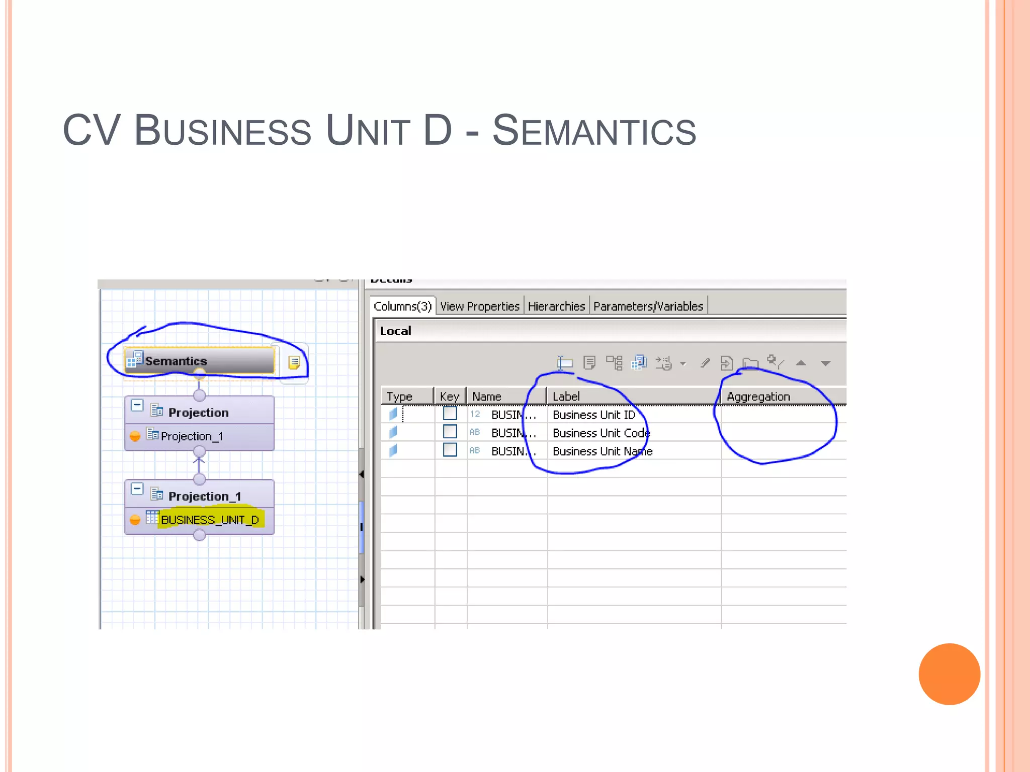 CV BUSINESS UNIT D - SEMANTICS
 