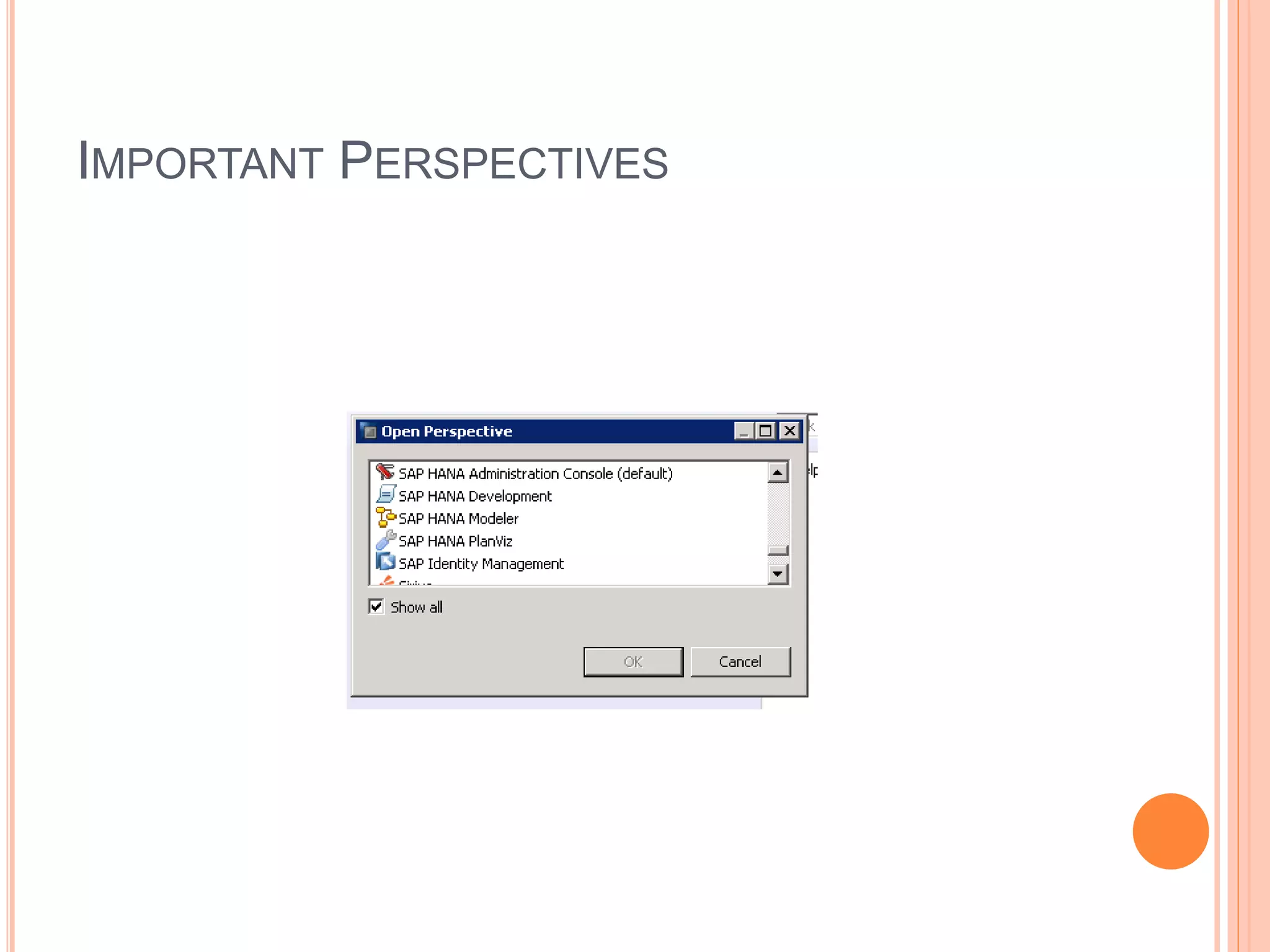 IMPORTANT PERSPECTIVES
 