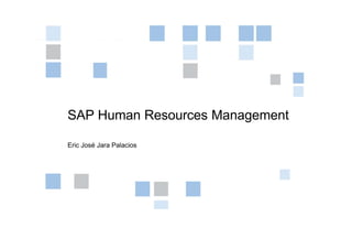SAP Human Resources Management
Eric José Jara Palacios
 