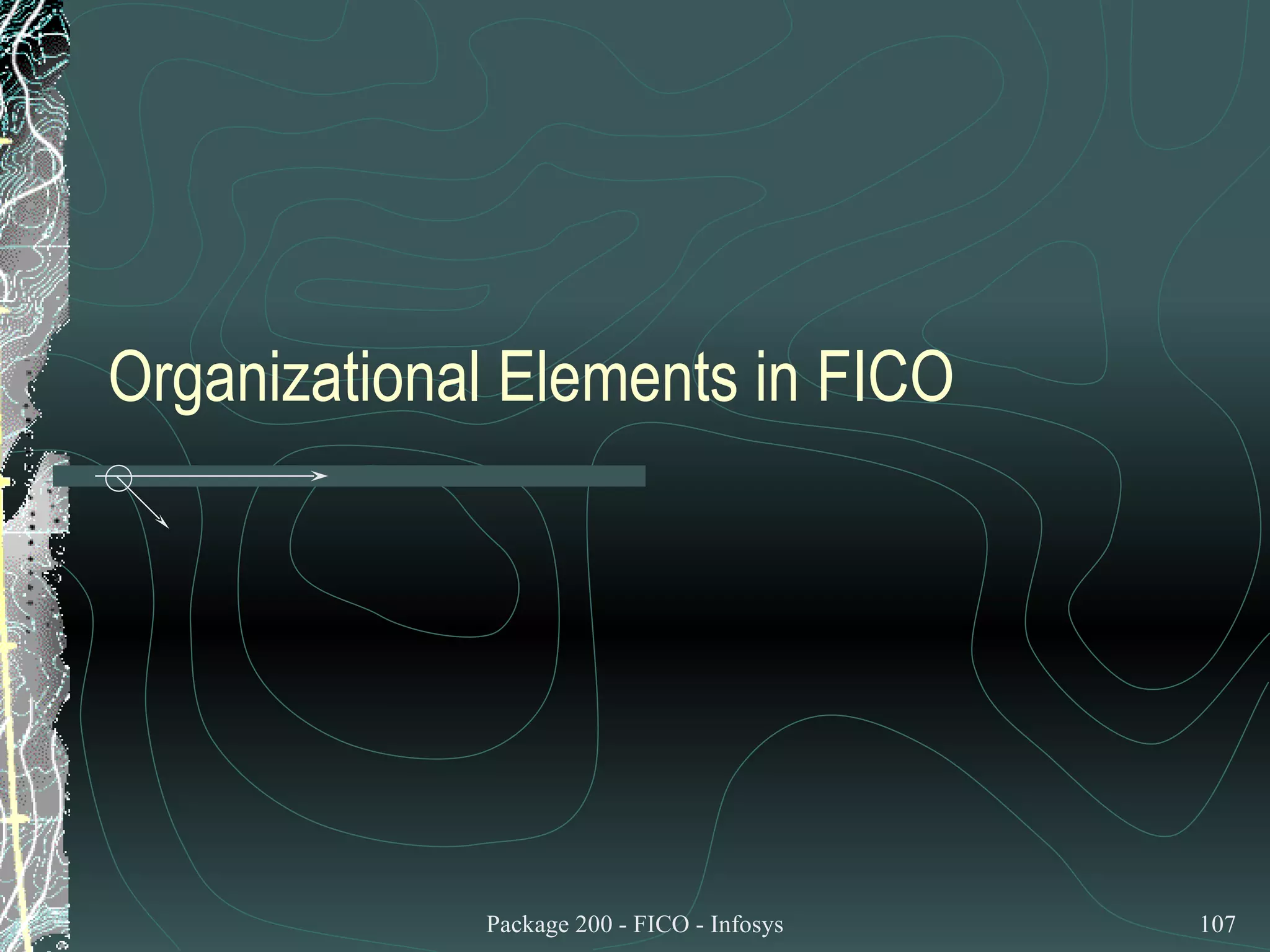 Organizational Elements in FICO 