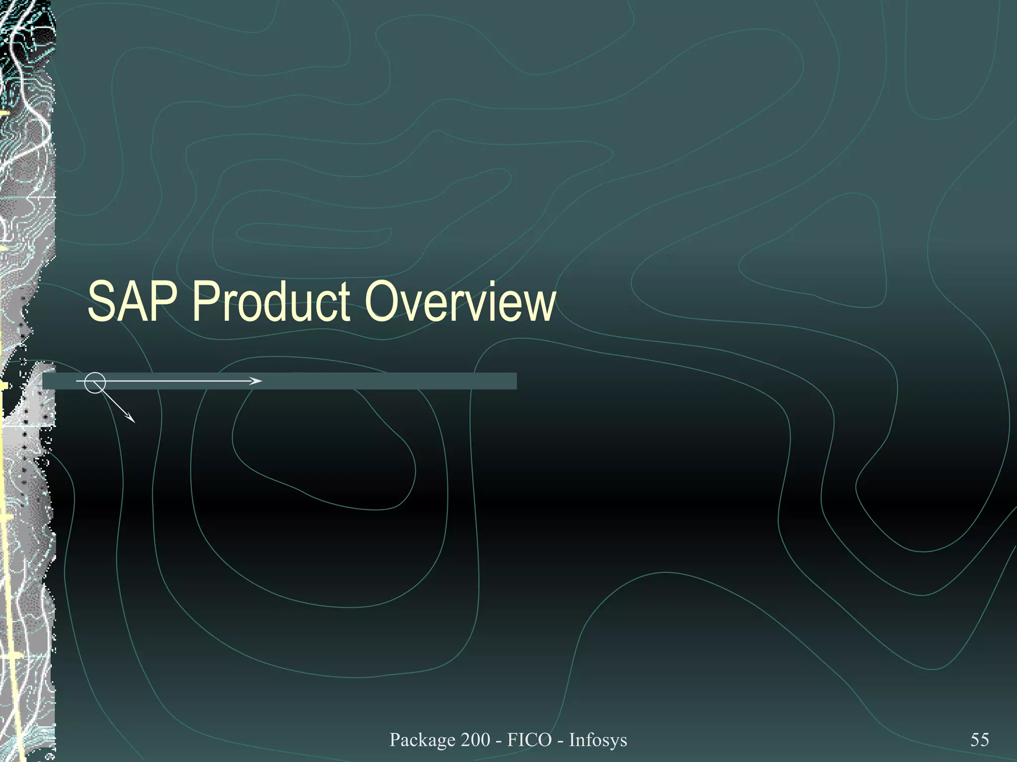 SAP Product Overview 