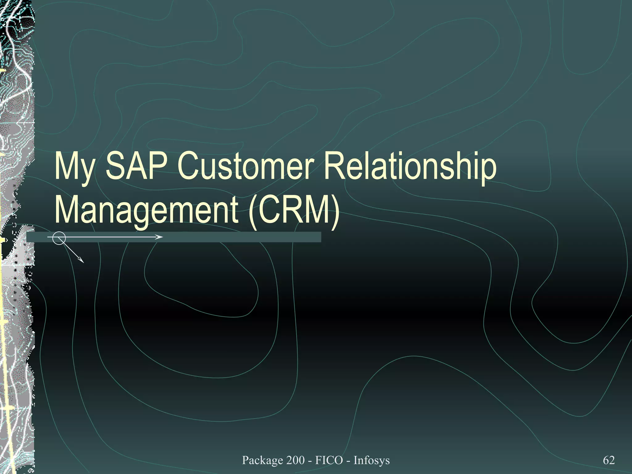 My SAP Customer Relationship Management (CRM) 