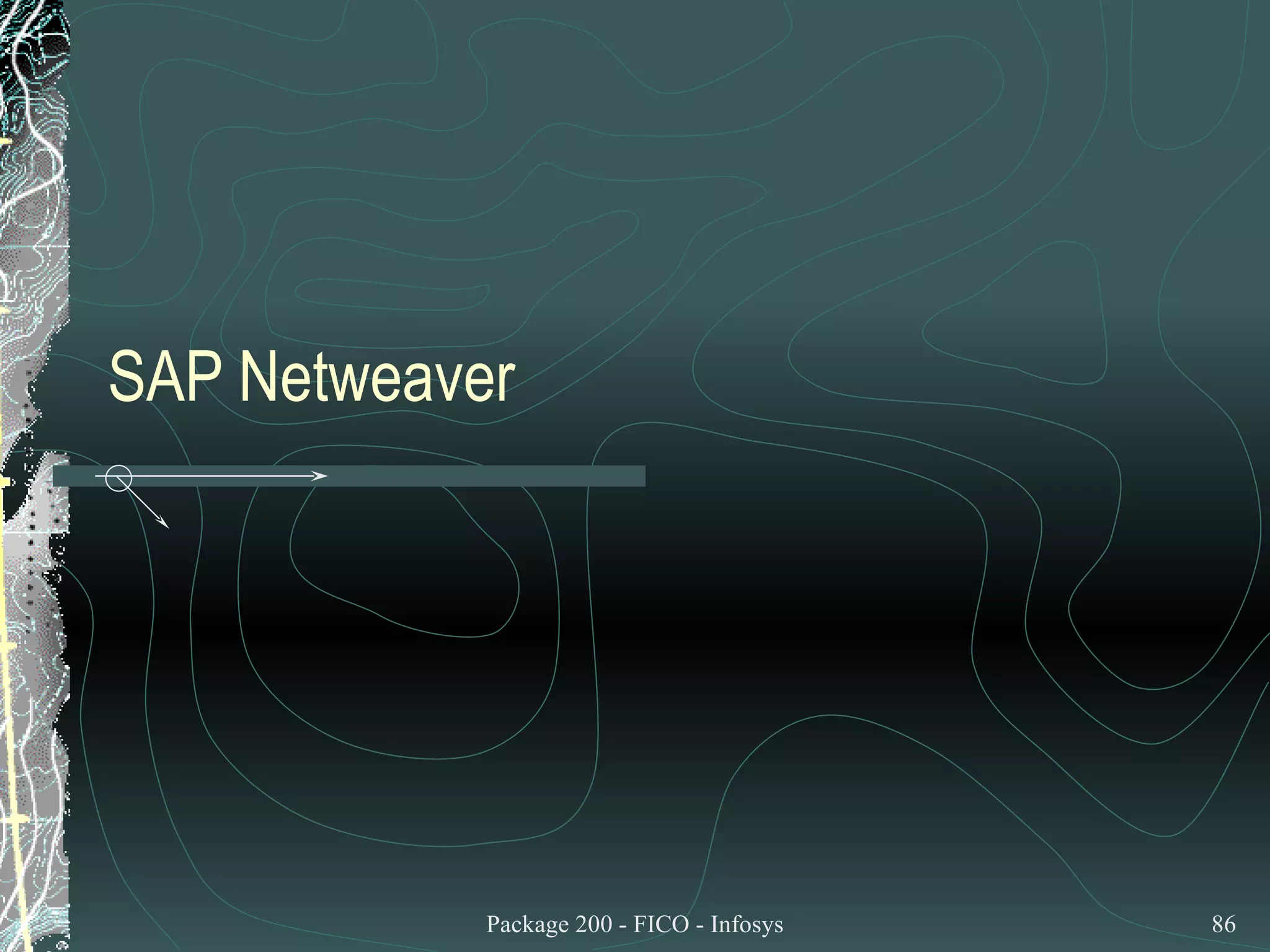 SAP Netweaver  