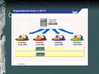 Organizational Units in R/3 FI 