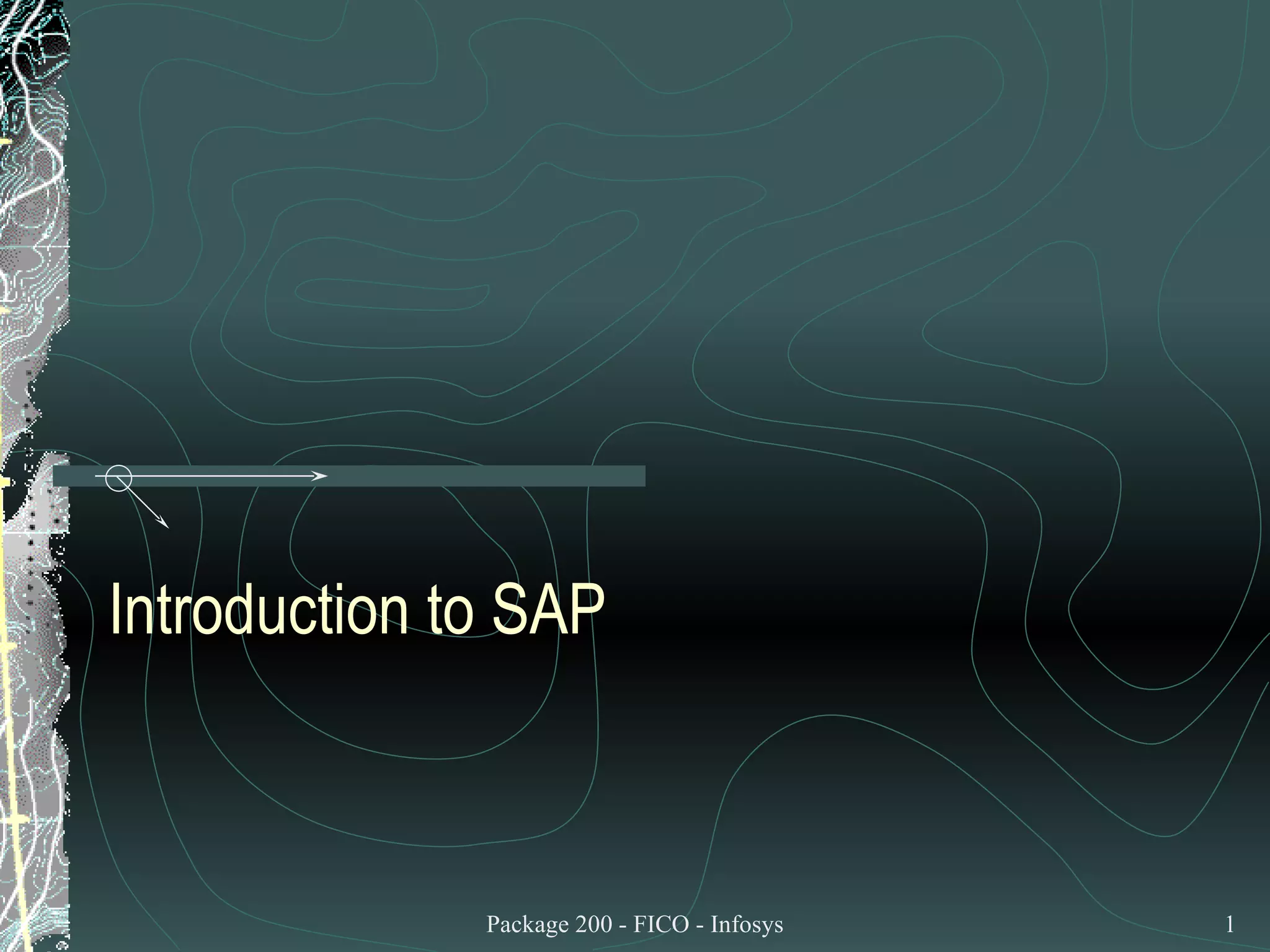 Introduction to SAP 