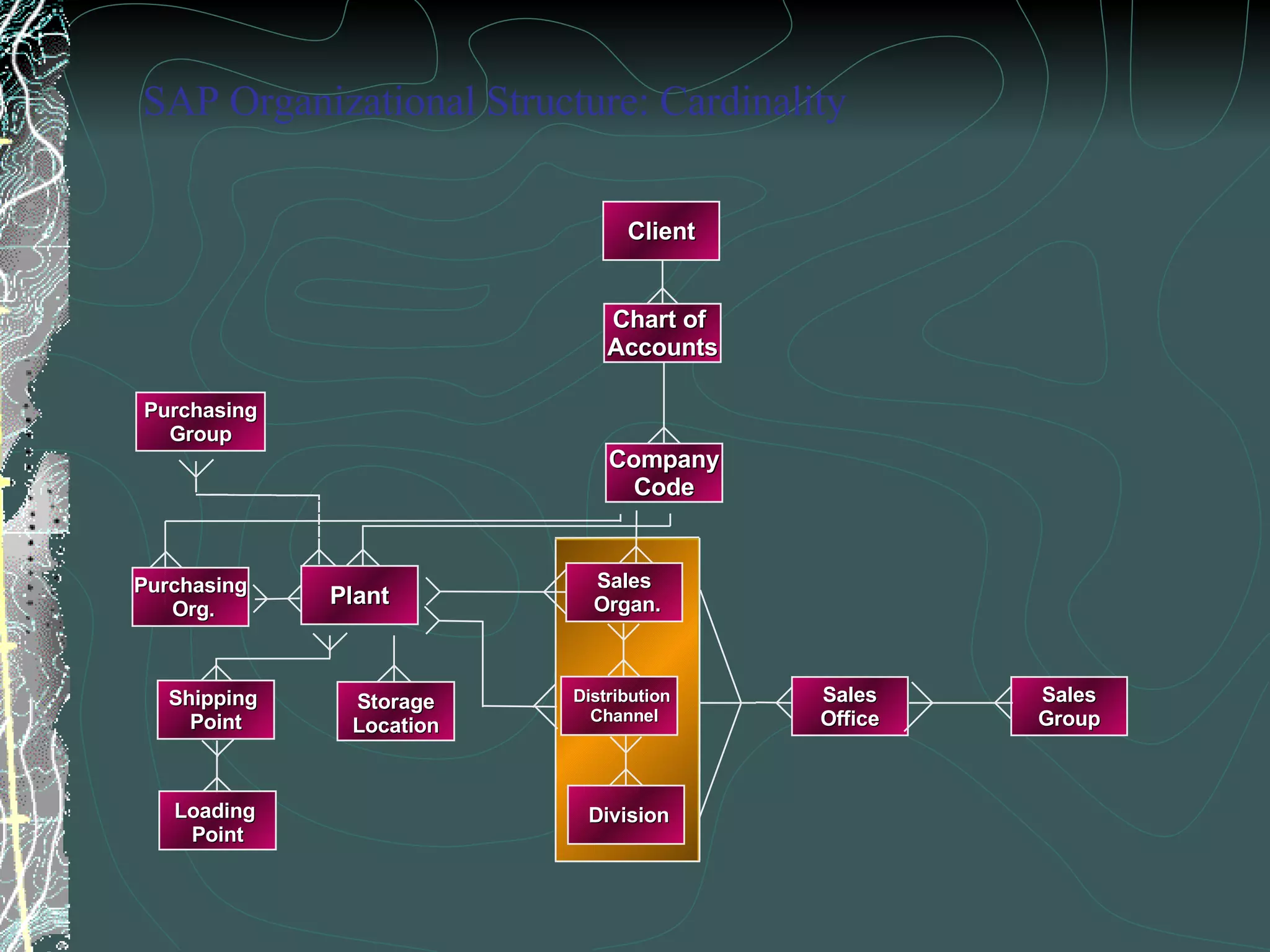 Client Chart of  Accounts Distribution Channel Sales Organ. Sales Office Sales Group Division Purchasing Group Plant Shipping  Point Storage Location Company Code Loading  Point Purchasing Org. SAP Organizational Structure: Cardinality 