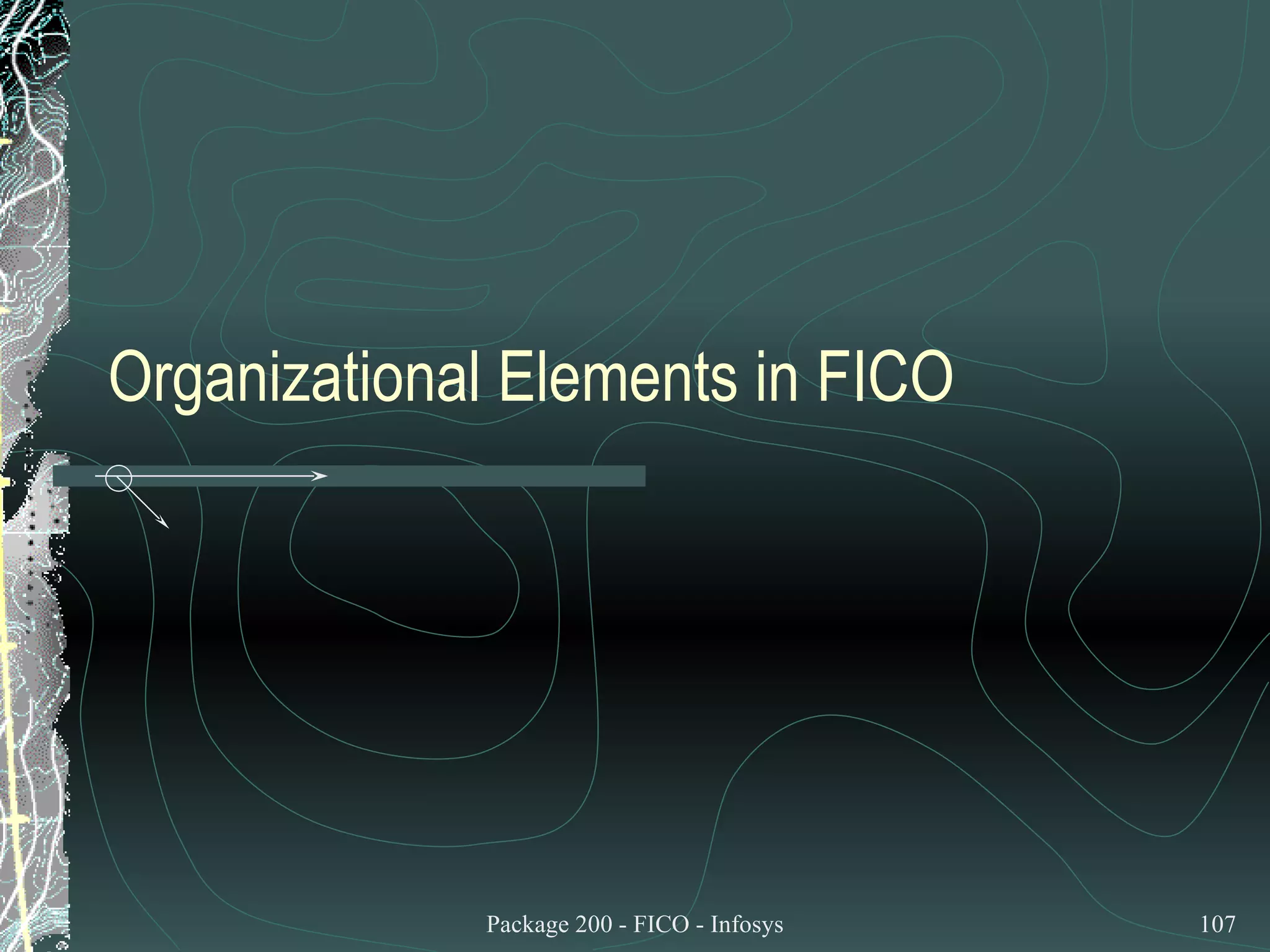 Organizational Elements in FICO 