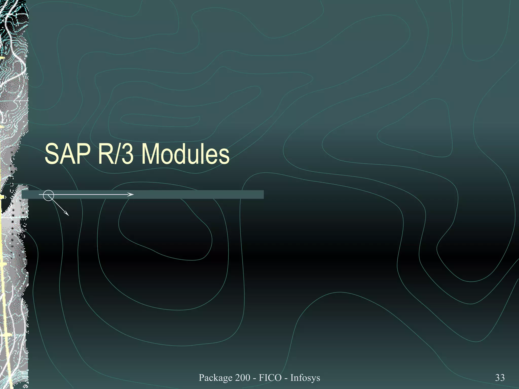 SAP R/3 Modules 