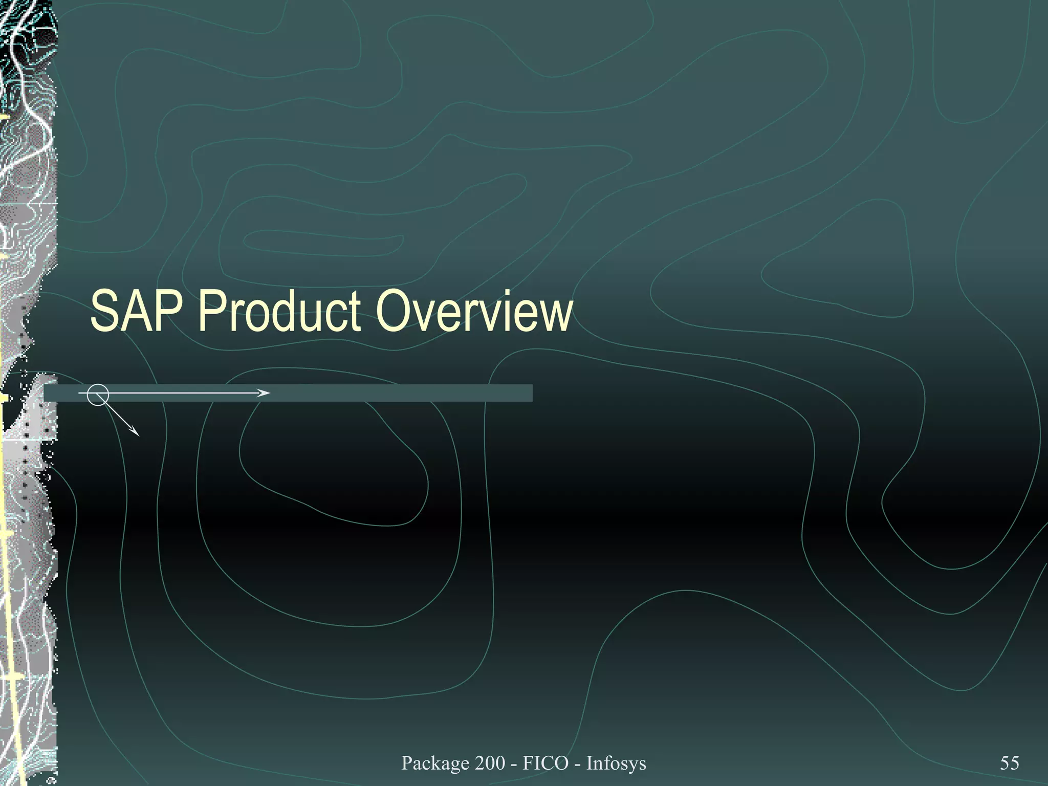 SAP Product Overview 