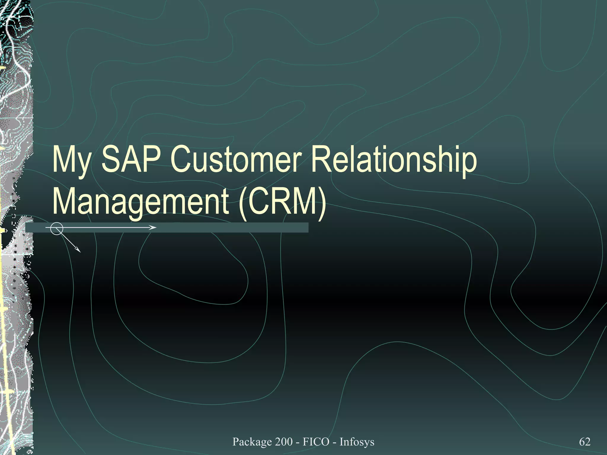 My SAP Customer Relationship Management (CRM) 