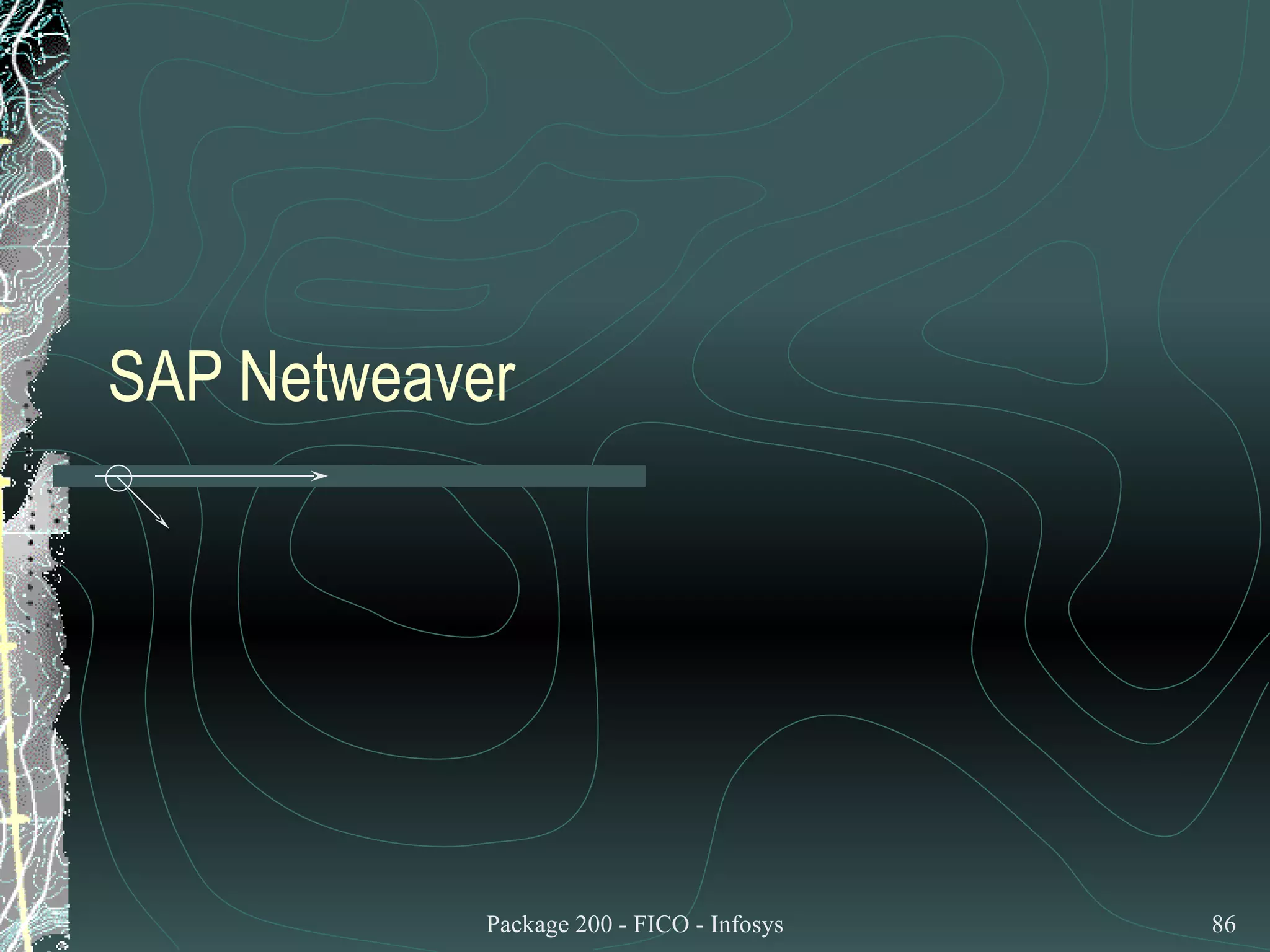 SAP Netweaver  