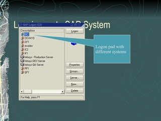 Logging on to SAP System Logon pad with different systems 