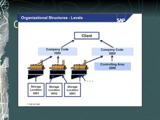 Organizational Structure - Levels 