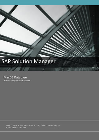 SAP Solution Manager

MaxDB Database
How-To Apply Database Patches.




  http://www.linkedin.com/in/solutionmanager
  Wenceslao Lacaze
 