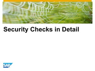 Security Checks in Detail 
 
