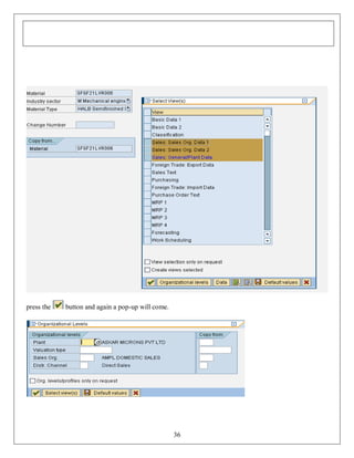 Sap sd-user-manual | PDF