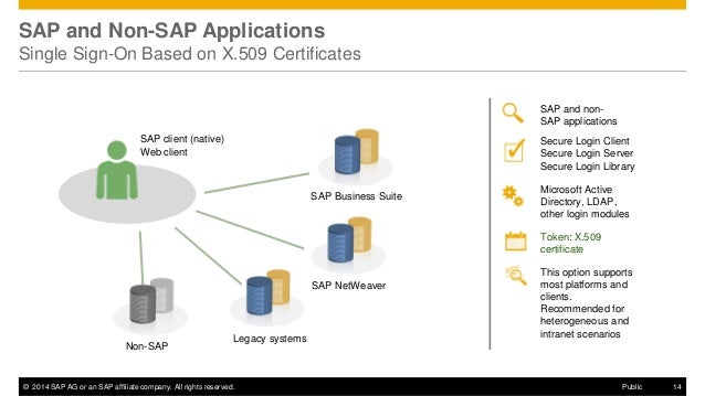 Secure Login Server Sap Secure Login Server Sap