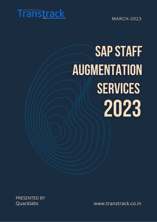 Transtrack Implementation Best Practices for SAP Users | PDF