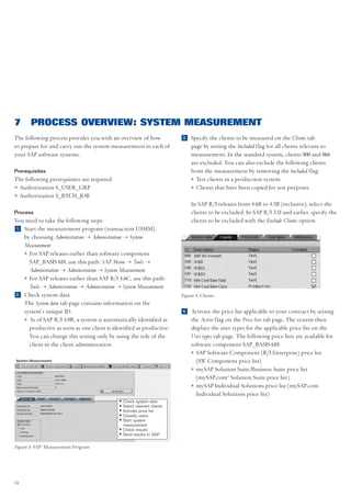 Sap system-measurement-guide | PDF