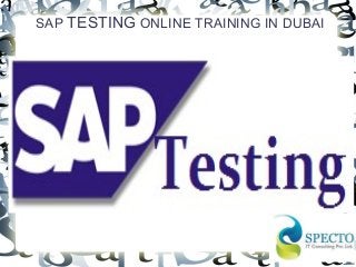 SAP TESTING ONLINE TRAINING IN DUBAI
 