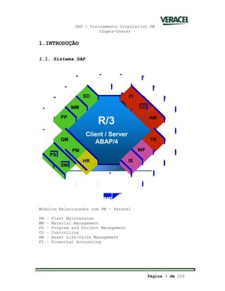 SAP - Treinamento Corporativo PM
(Super-Users)
Página 4 de 256
1.INTRODUÇÃO
1.1. Sistema SAP
Módulos Relacionados com PM – Veracel
PM – Plant Maintenance
MM – Material Management
PS – Program and Project Management
CO – Controlling
AM – Asset Life-Cycle Management
FI – Financial Accounting
R/3
Client / Server
ABAP/4
WF
IS
MM
HR
SD
PM
QM
PP
FI
CO
AM
TR
SM
PS
R/3
Client / Server
ABAP/4
WF
IS
MM
HR
SD
PM
QM
PP
FI
CO
AM
TR
SM
PS
SM
PS
 