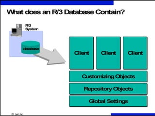 SAP SD S4 Hana basics and differences with ECC. PPT | PPTX