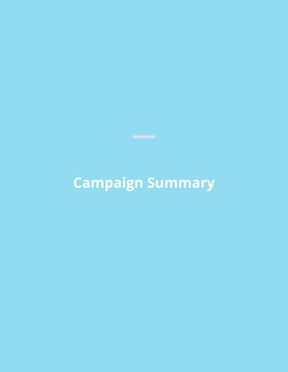 Campaign Summary
 