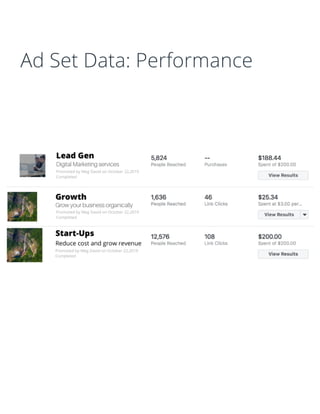 Ad Set Data: Performance
 