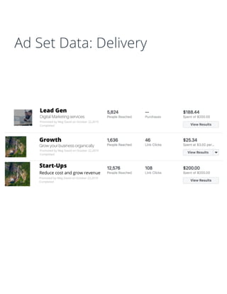 Ad Set Data: Delivery
 