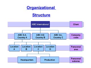 Organizational
Structure

 