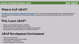 SAP ABAP Training Powerpoint | Learn ABAP Programming | PPTX