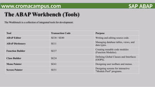 SAP ABAP Training Powerpoint | Learn ABAP Programming | PPTX