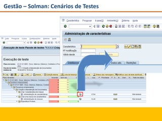 Gestão – Solman: Cenários de Testes
 