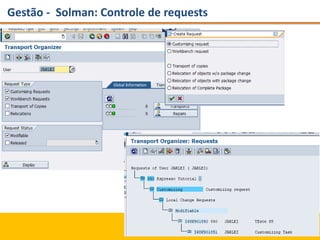 Gestão - Solman: Controle de requests
 