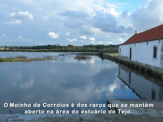 OO Moinho de Corroios é dos raros que se mantémMoinho de Corroios é dos raros que se mantém
aberto na área do estuário do Tejo.aberto na área do estuário do Tejo.
 