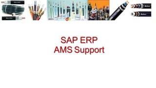 SAP ERP
AMS Support
 