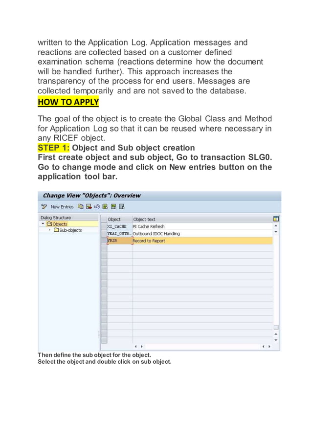 Sap application log PDF