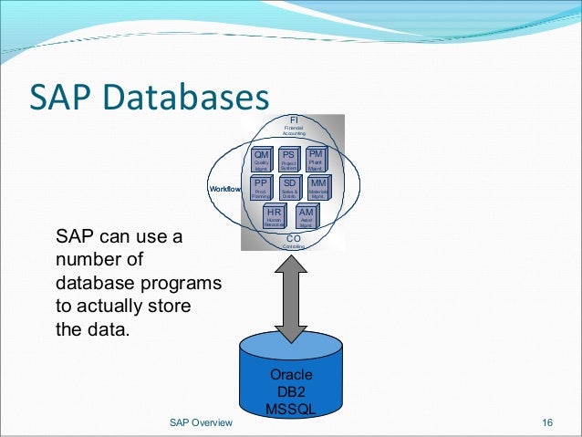 sap basics pdf