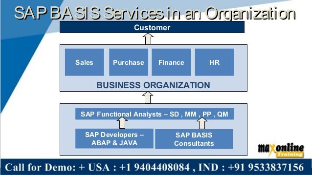 Sap basics online training from basic level