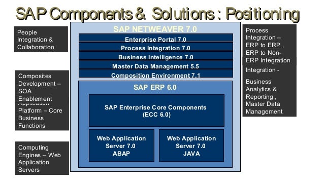 sap basics pdf