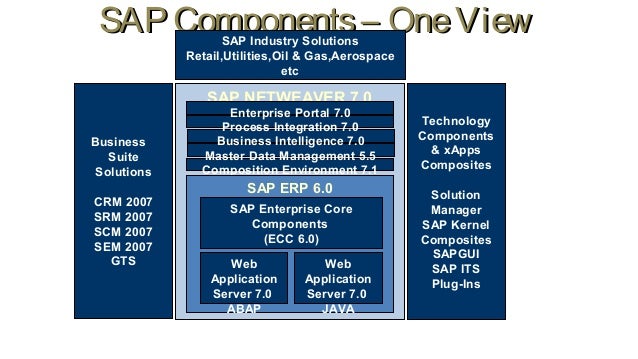 Sap basics online training from basic level